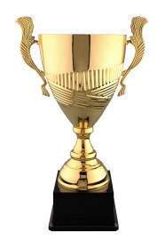 Cupe Sportive LX 013